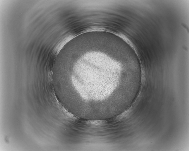 X0000102030953200808151338