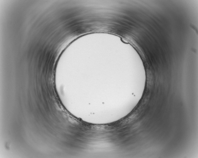 X0000102030956200808151338