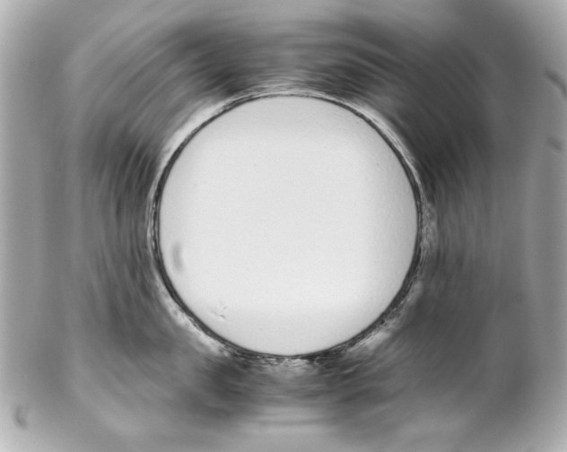 X0000102030957200808151338