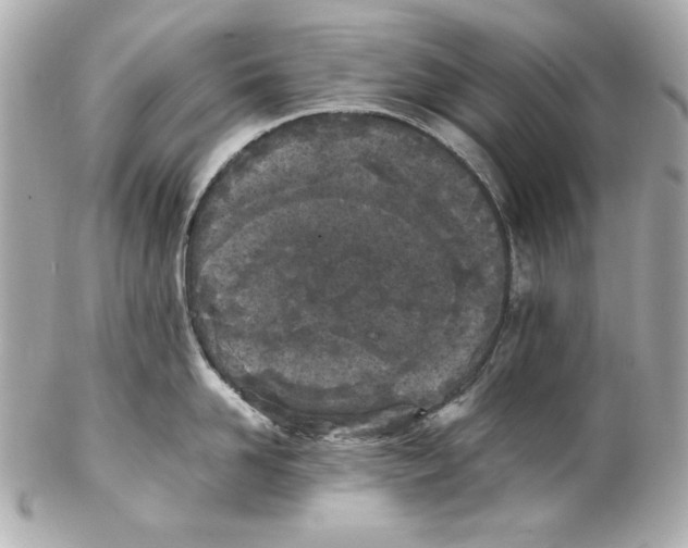 X0000102030958200808151338