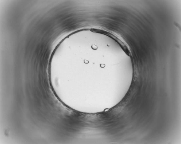 X0000102030959200808151338