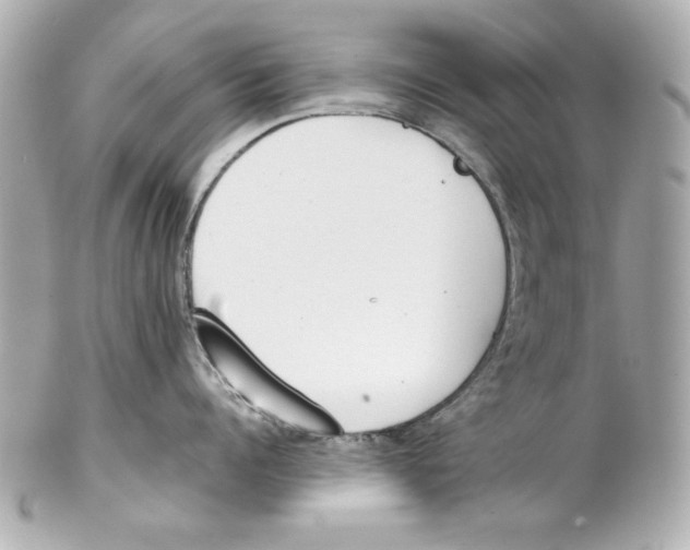 X0000102030960200808151338