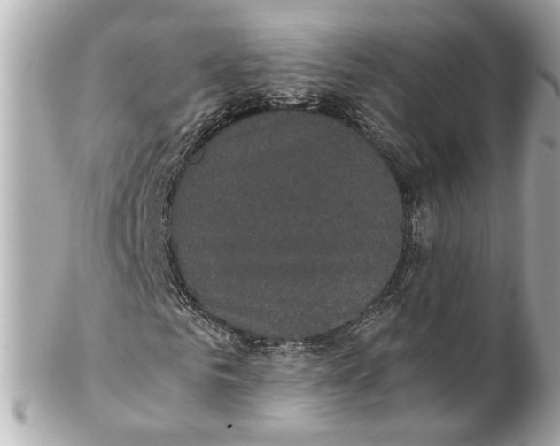 X0000102030961200808151337