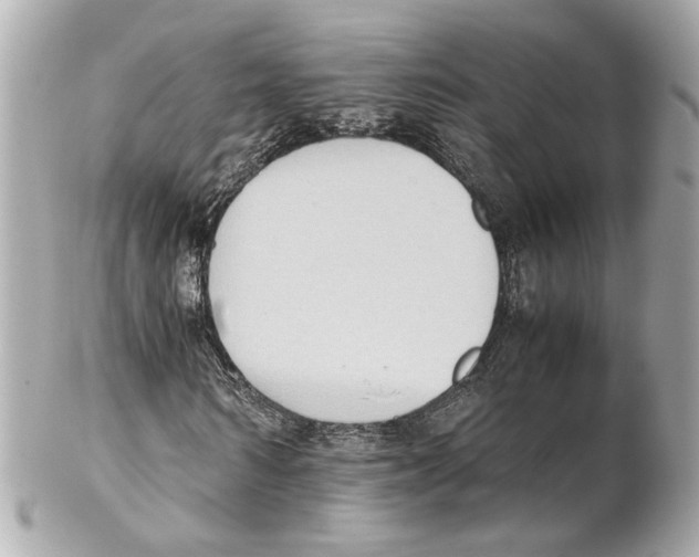 X0000102030962200808151337