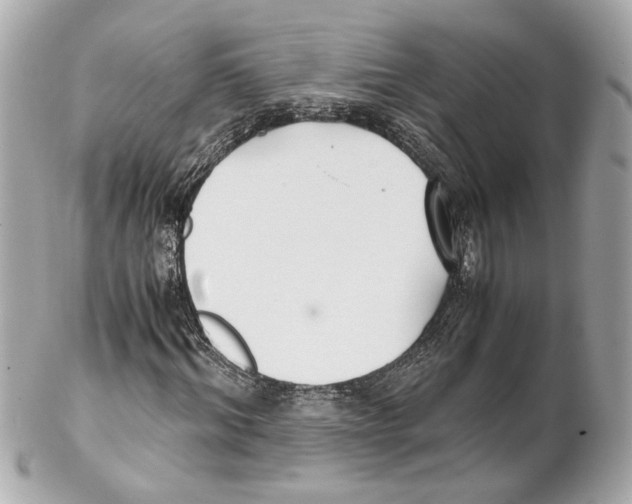 X0000102030964200808151337