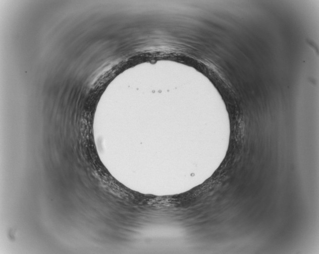 X0000102030967200808151337