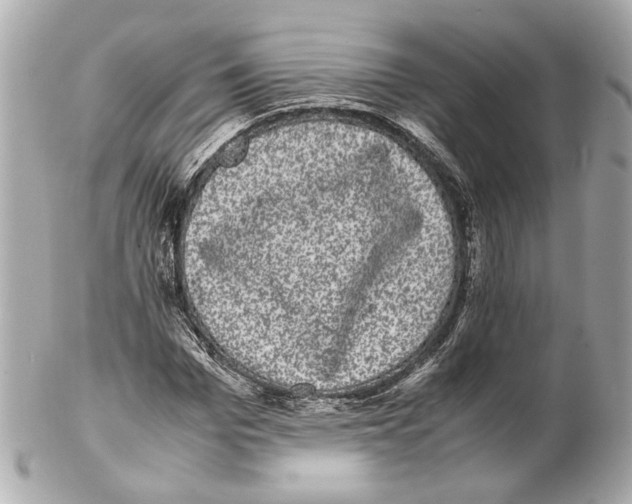 X0000102030969200808151337