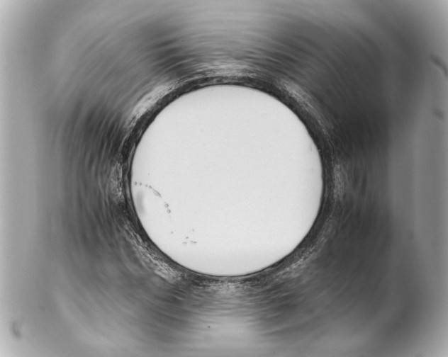 X0000102030970200808151337