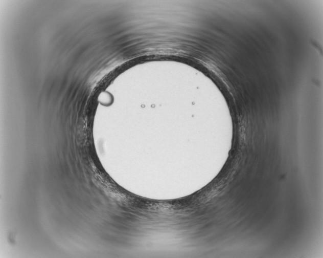 X0000102030971200808151337