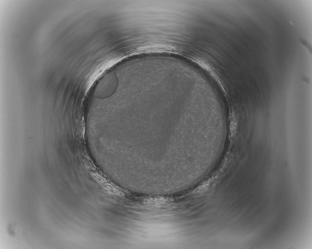 X0000102030973200808151337