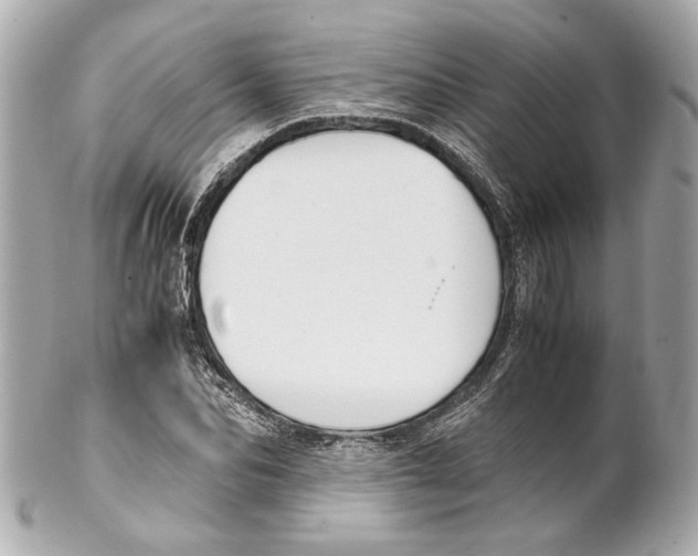 X0000102030974200808151337