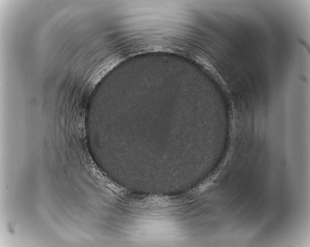 X0000102030977200808151337