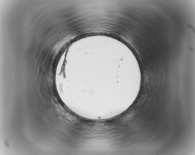 X0000102030979200808151337