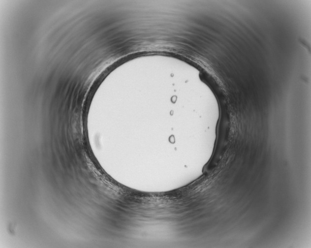 X0000102030980200808151337