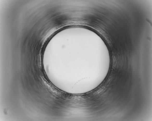 X0000102030982200808151337