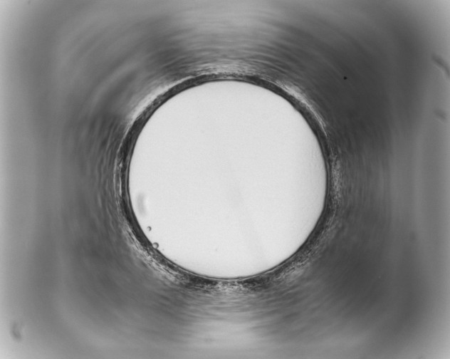 X0000102030983200808151337