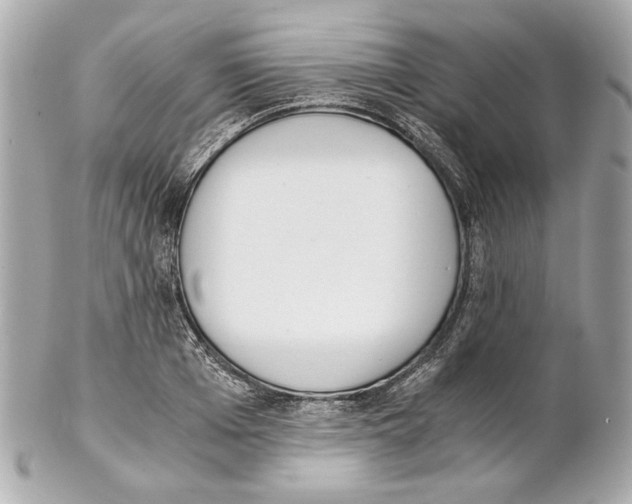 X0000102030985200808151337