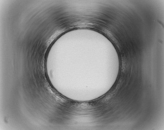 X0000102030986200808151337