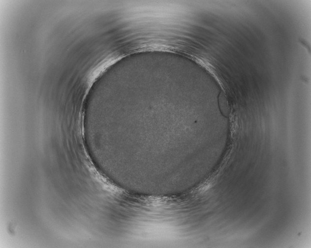 X0000102030987200808151337