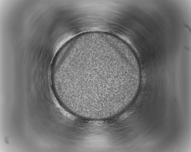 X0000102030991200808151337