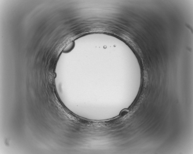 X0000102030993200808151337