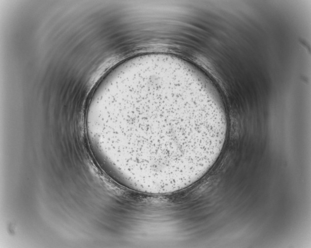 X0000102030994200808151336