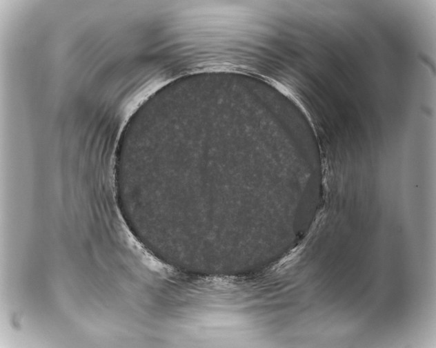 X0000102030995200808151336