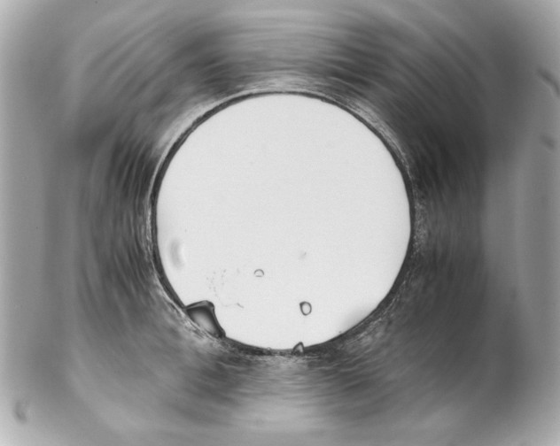 X0000102030996200808151336