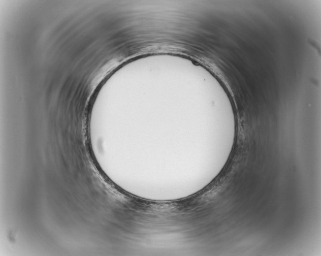 X0000102030997200808151336