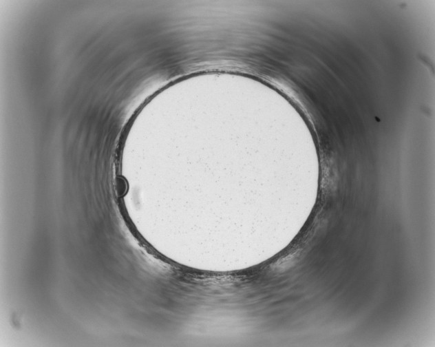 X0000102030999200808151336