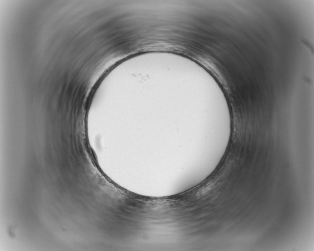 X0000102031000200808151336