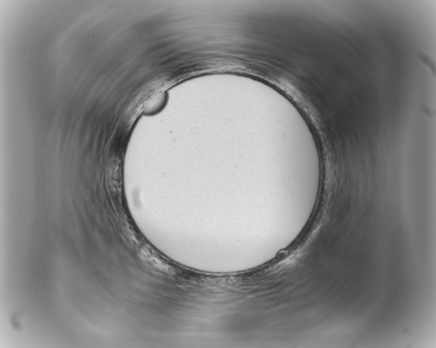 X0000102031001200808151336