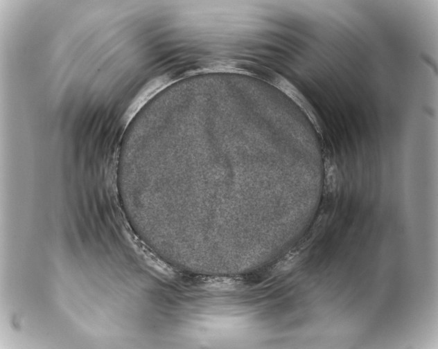 X0000102031002200808151336