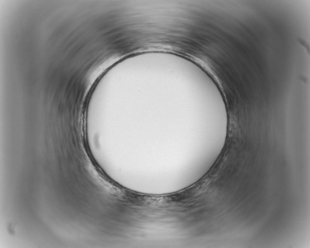 X0000102031003200808151336