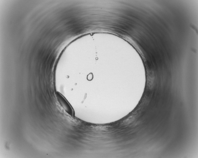 X0000102031004200808151336