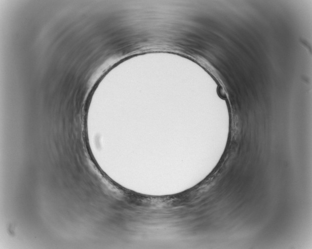 X0000102031005200808151336