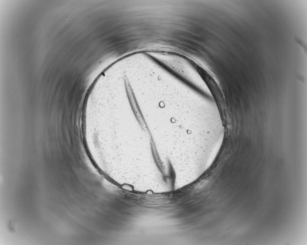 X0000102031007200808151336