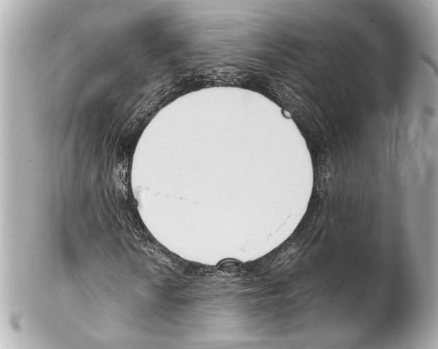 X0000102031010200808151335