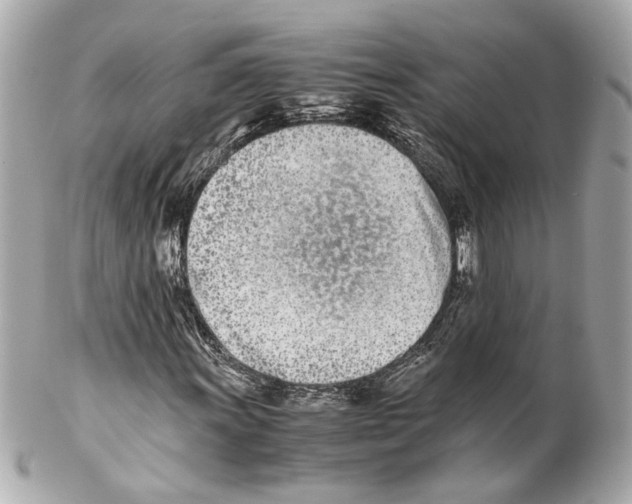 X0000102031011200808151335