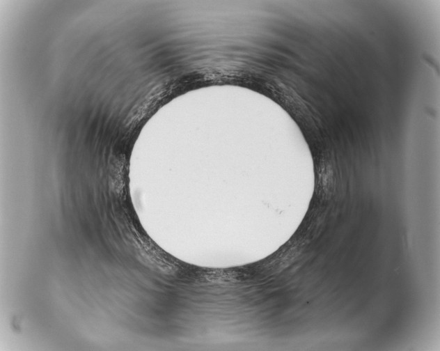 X0000102031012200808151335