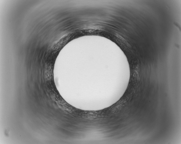 X0000102031014200808151336