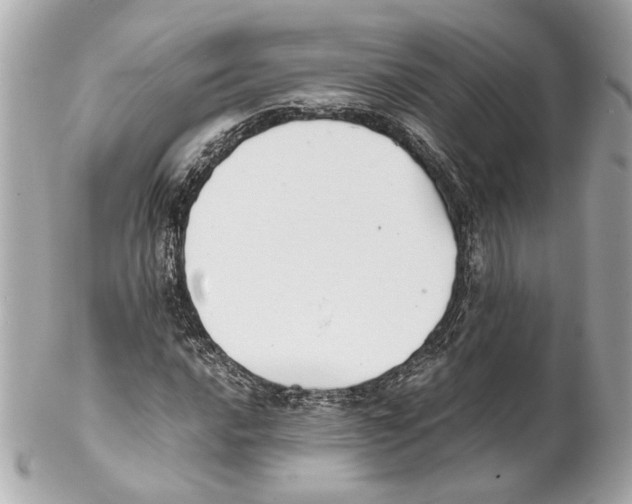 X0000102031016200808151336