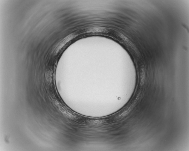 X0000102031017200808151336