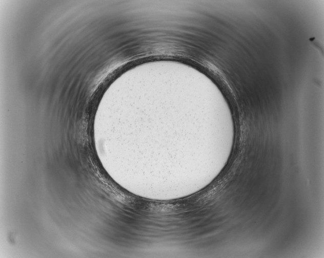 X0000102031019200808151336