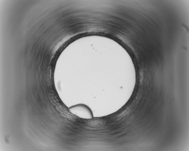 X0000102031021200808151336