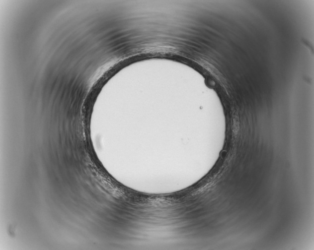 X0000102031022200808151336