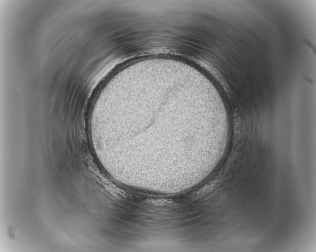 X0000102031023200808151336