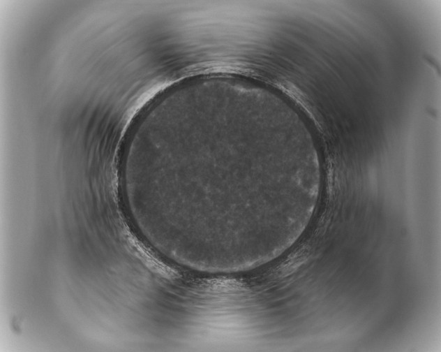 X0000102031024200808151336