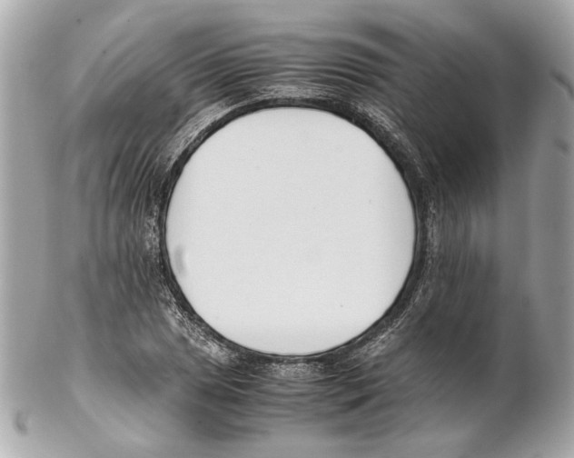 X0000102031025200808151336