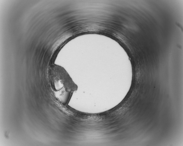 X0000102031026200808151336